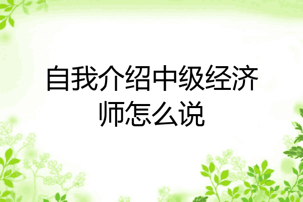 自我介绍中级经济师怎么说