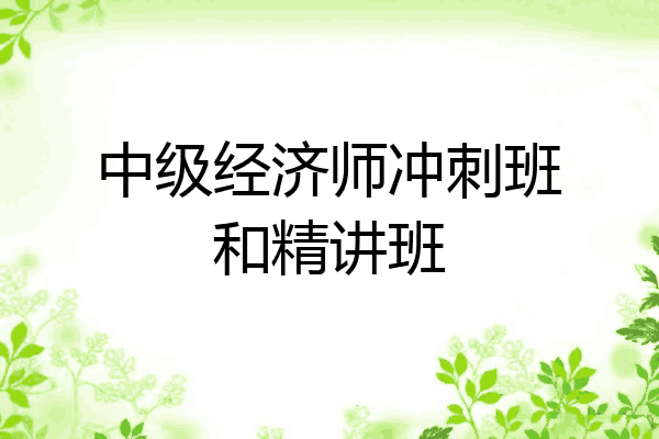 中级经济师冲刺班和精讲班
