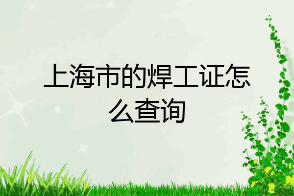 上海市的焊工证怎么查询