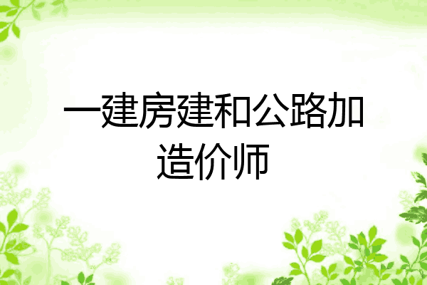 一建房建和公路加造价师