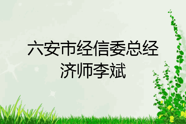 六安市经信委总经济师李斌