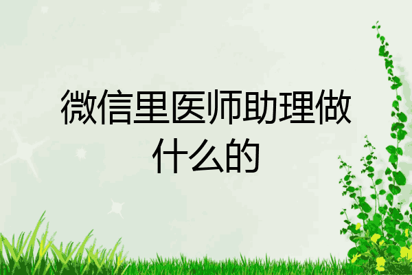 微信里医师助理做什么的