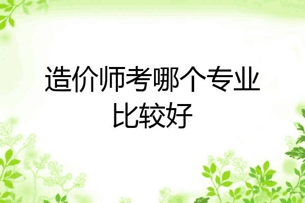 造价师考哪个专业比较好