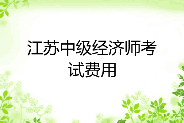 江苏中级经济师考试费用