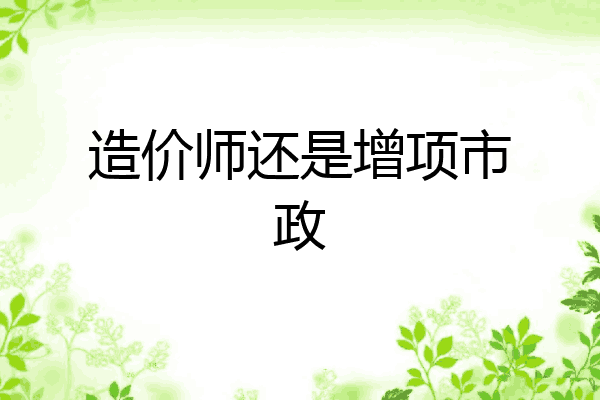 造价师还是增项市政