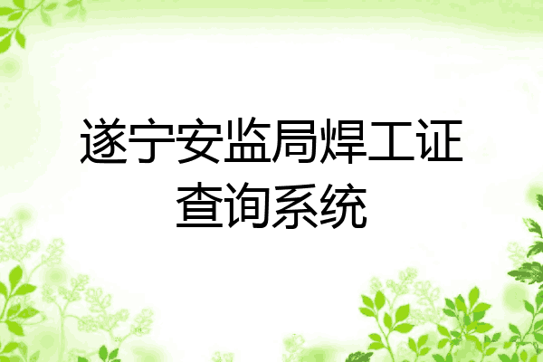 遂宁安监局焊工证查询系统