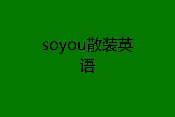 soyou散装英语