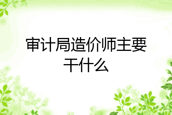 审计局造价师主要干什么