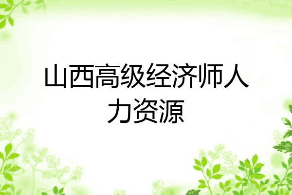 山西高级经济师人力资源