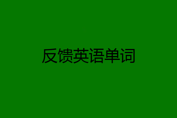 反馈英语单词