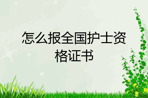 怎么报全国护士资格证书
