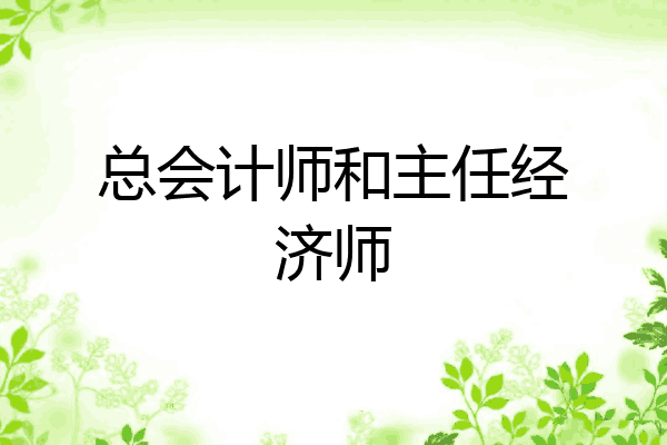 总会计师和主任经济师