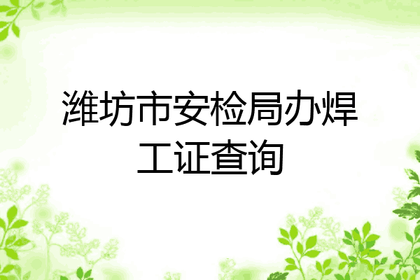 潍坊市安检局办焊工证查询