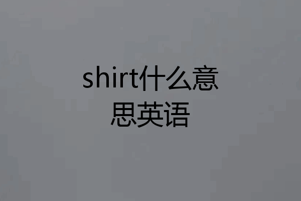 shirt什么意思英语