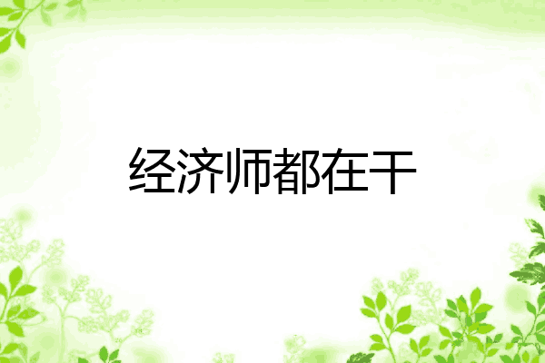 经济师都在干
