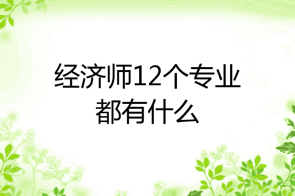 经济师12个专业都有什么