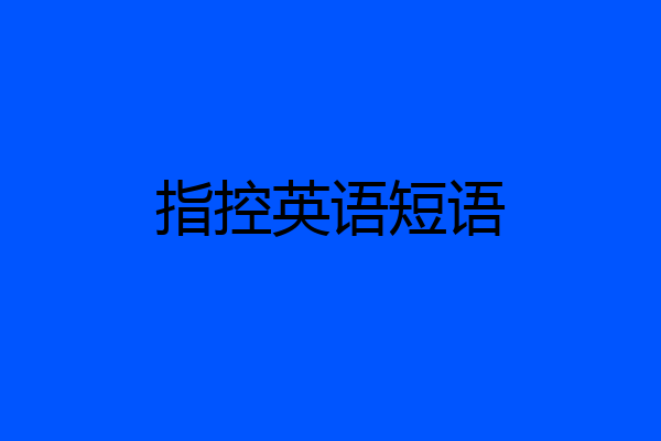 指控英语短语