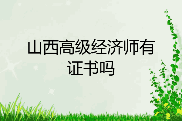 山西高级经济师有证书吗