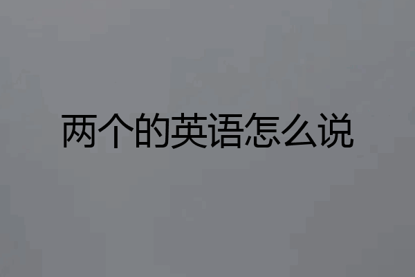 两个的英语怎么说