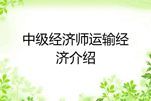 中级经济师运输经济介绍