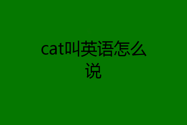 cat叫英语怎么说