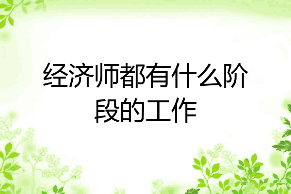 经济师都有什么阶段的工作