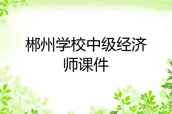 郴州学校中级经济师课件