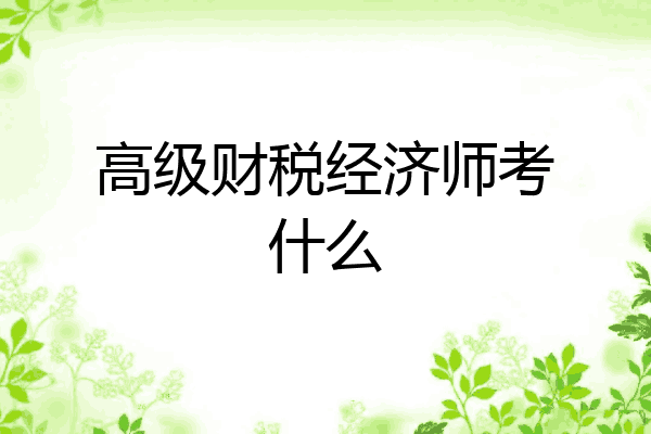 高级财税经济师考什么