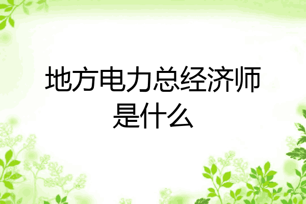 地方电力总经济师是什么