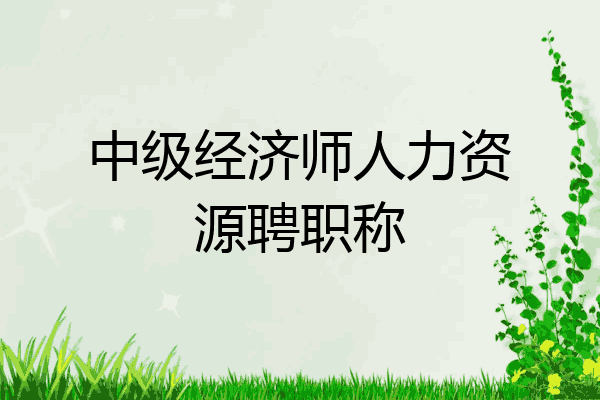 中级经济师人力资源聘职称