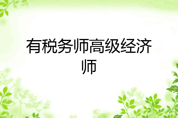 有税务师高级经济师