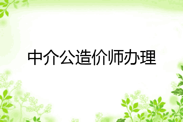 中介公造价师办理