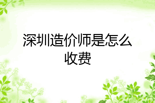 深圳造价师是怎么收费