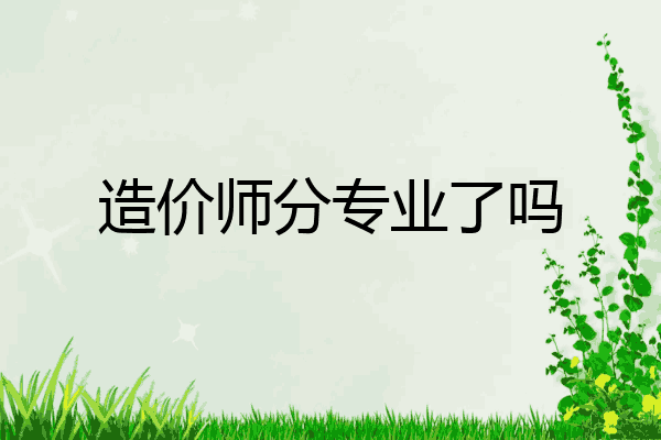 造价师分专业了吗
