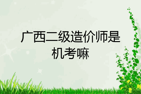 广西二级造价师是机考嘛