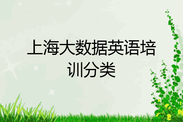 上海大数据英语培训分类
