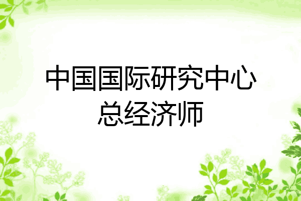 中国国际研究中心总经济师