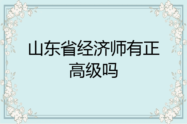 山东省经济师有正高级吗