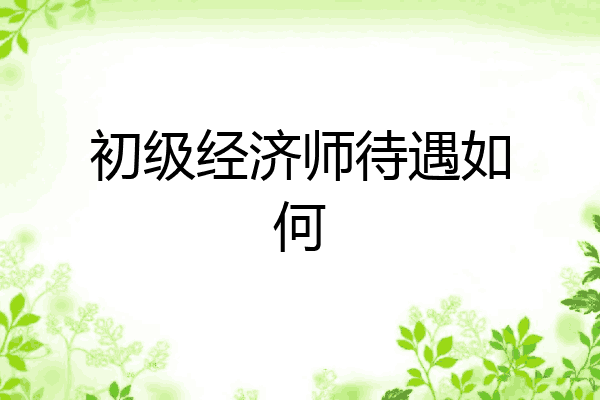 初级经济师待遇如何