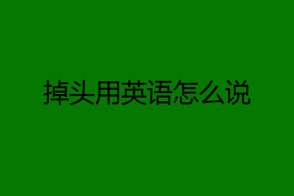 掉头用英语怎么说