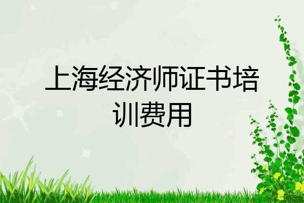 上海经济师证书培训费用