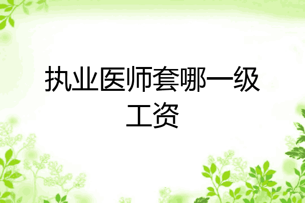 执业医师套哪一级工资
