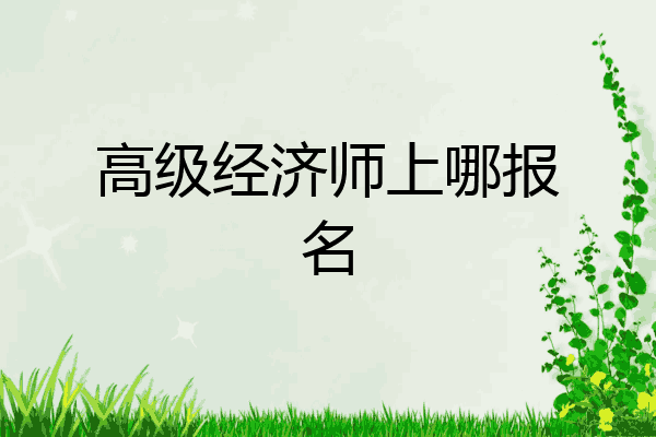 高级经济师上哪报名