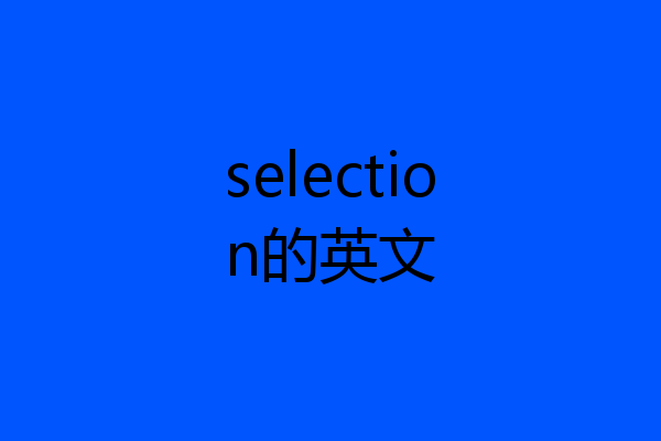 selection的英文