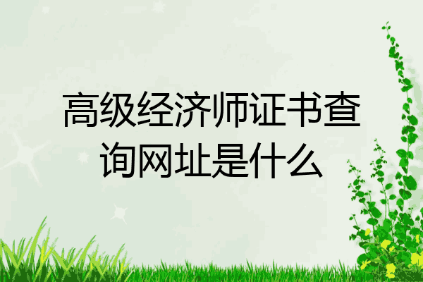 高级经济师证书查询网址是什么