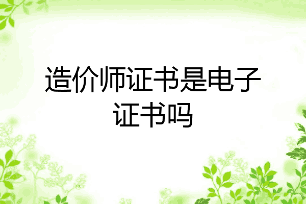 造价师证书是电子证书吗