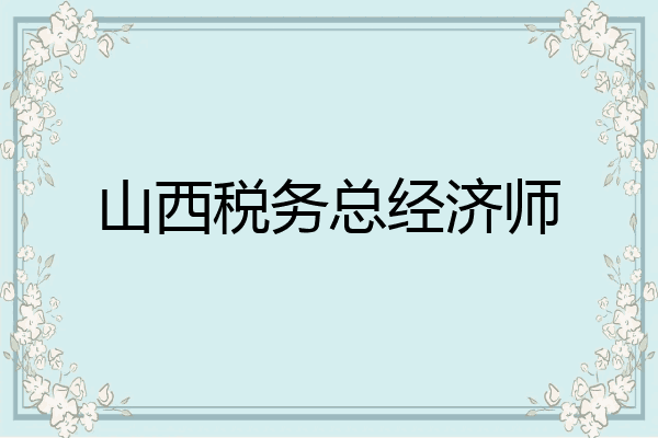 山西税务总经济师