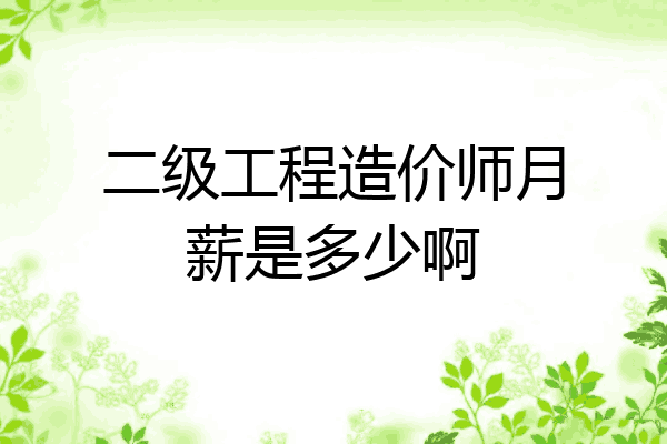 二级工程造价师月薪是多少啊
