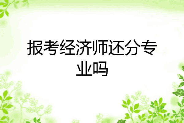 报考经济师还分专业吗