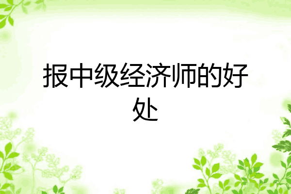 报中级经济师的好处